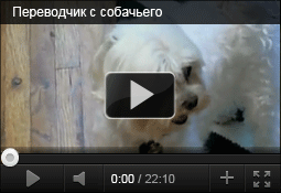 Переводчик с собачьего